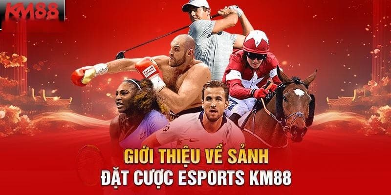 Cá độ Esports phát triển mạnh trong những năm gần đây